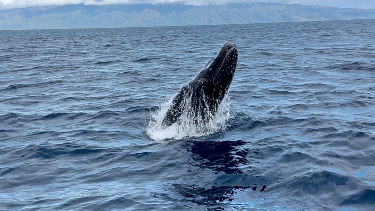 a large body of water