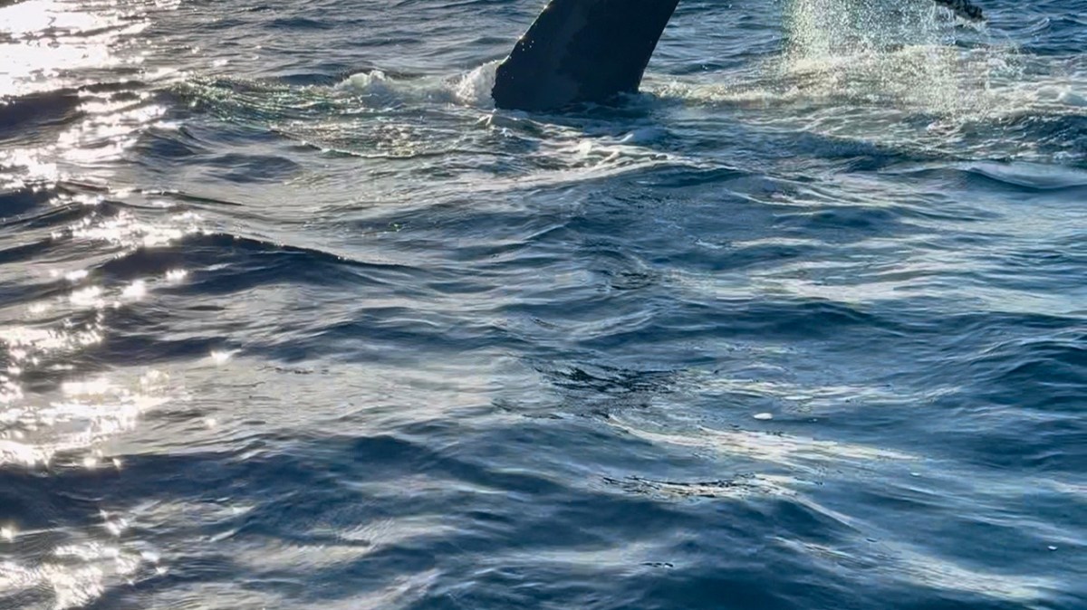 a large body of water