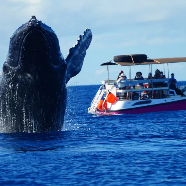 a boat on a body of water