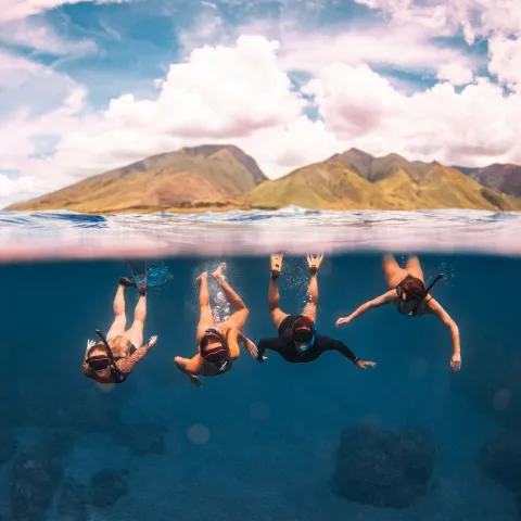 a group of people swimming in a body of water