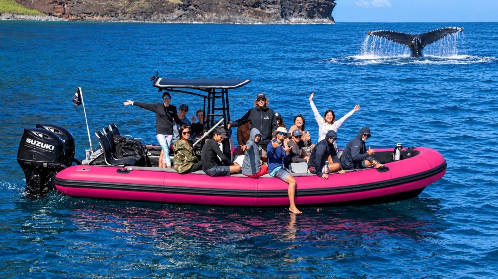 Group on a pink boat in ocean, whale tail visible in background.